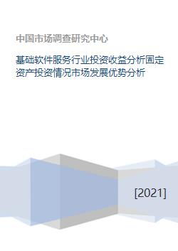 基礎軟件服務行業投資分析 市場優勢、固定資產與發展機遇